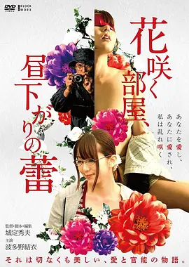 荒原回声 冒险高清电影全集免费观看